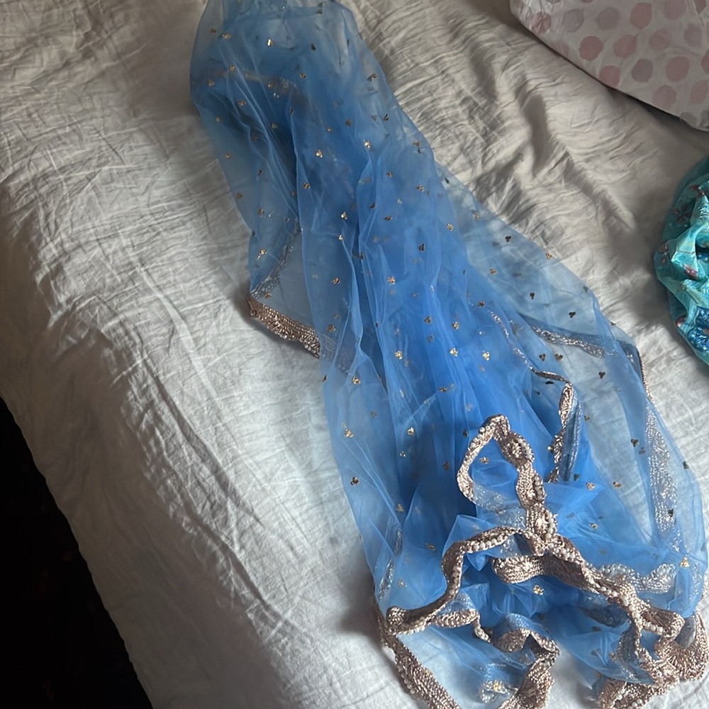 Blue Lehenga Set (skirt/top/shawl) - Picture 7 of 8